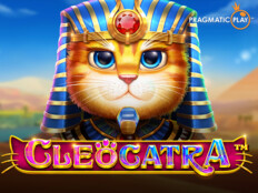 Casino slots free spins59